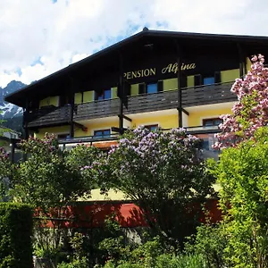 Guest house Cafe Alpina